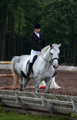 Fototapeta na wymiar Dressage test: woman trotting her horse 