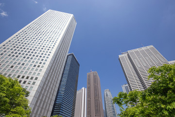 Fototapeta premium 東京 新宿の高層ビル