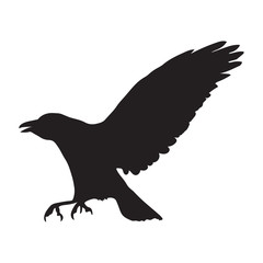 Fototapeta na wymiar vector silhouette of raven