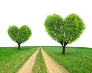 Trees in the shape heart on meadow