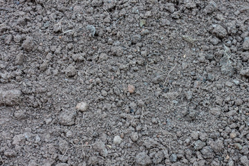 Soil texture background