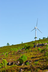 Wind Turbine