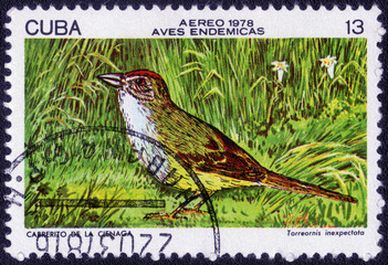 CUBA - CIRCA 1978: