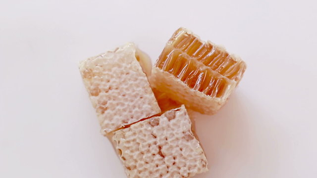 HD Footage of honeycombs on white background 