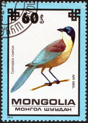 MONGOLIA - CIRCA 1979 