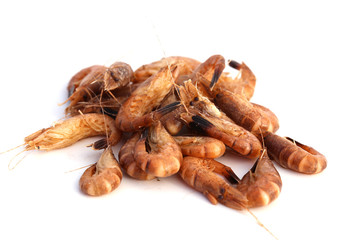 Crevettes grises