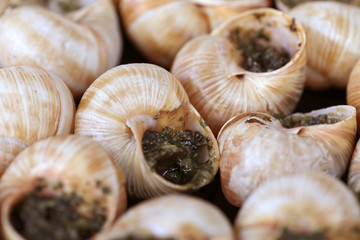 Escargots