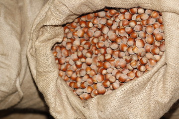 Bag of hazelnuts