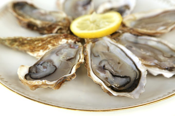 Huîtres