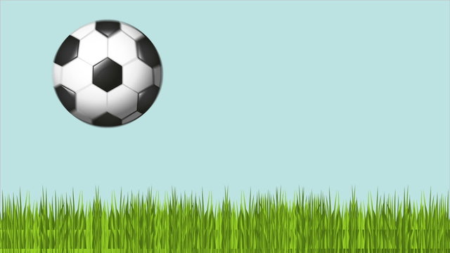 Soccer ball on field, Video animation, HD 1080