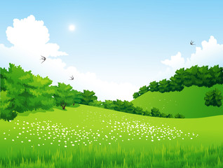 Paysage verdoyant avec arbres, nuages, fleurs