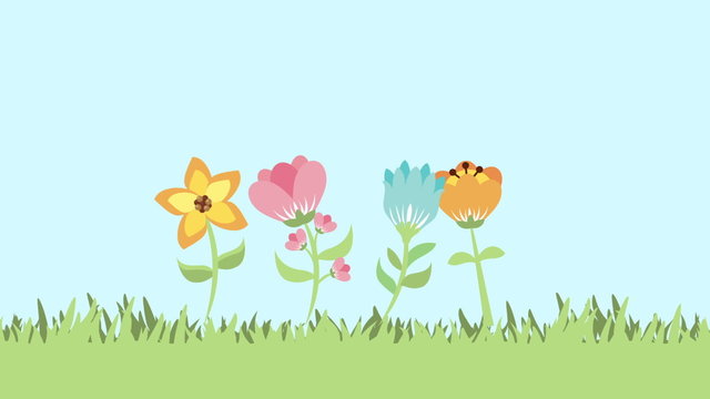 Flowers growth video animation, Video animation, HD 1080