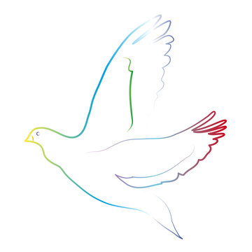 Bunte Taube - Friedenstaube, Symbol für den Frieden und Zuversicht, Toleranz und Vielfalt, Regenbogenfarben