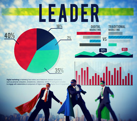 Leader Data Analysis Digital Marketing Concept