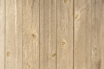 Naklejka premium Wood at vintage look