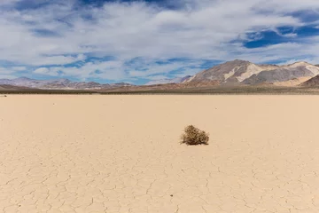 Selbstklebende Fototapete Sandige Wüste Tumbleweed auf trockenem Seegrund in der Wüste