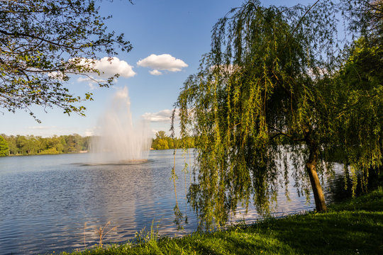 Schwanenteich Zwickau Zentrum