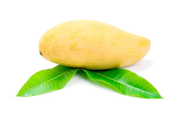 Yellow mango