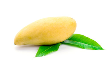 Yellow mango