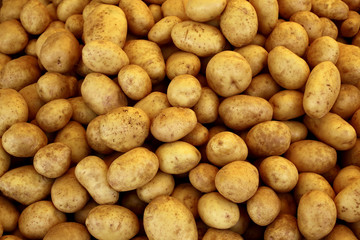 pile of raw potatoes