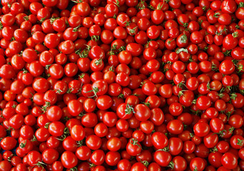 heap of tomatoes