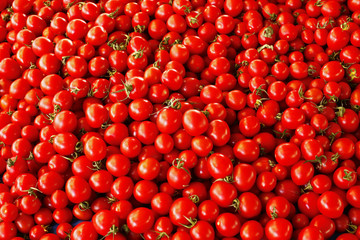 heap of tomatoes