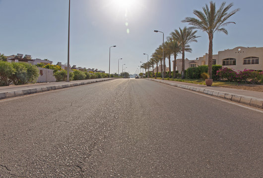 View Of African Road