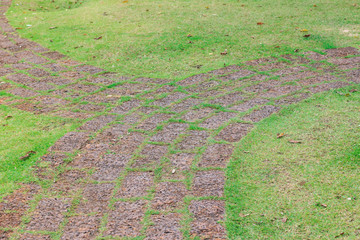 stone step in garden - flora flower design rock walk green grass
