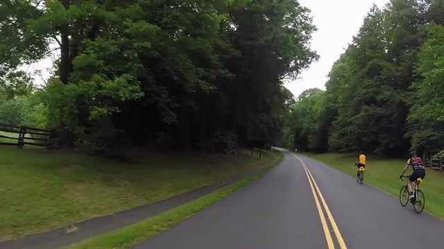 Car passes three cyclists along the Blue Ridge Parkway.