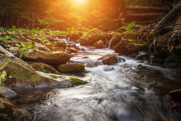 Landscape of rapids on a mountains river and small waterfall.