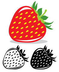 Strawberry vector illustration in color and black and white