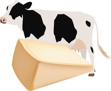 produzione formaggio