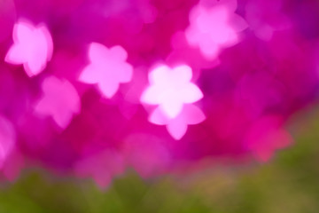 Blur pink and green