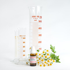 Kamille - Homöopathie