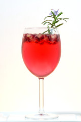 fresh pomegranate prosecco cocktail summer drink