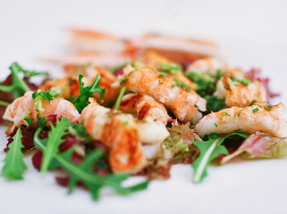 Shrimps salad