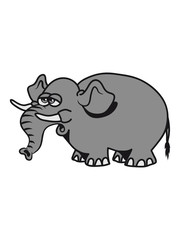 Stupid funny elephant