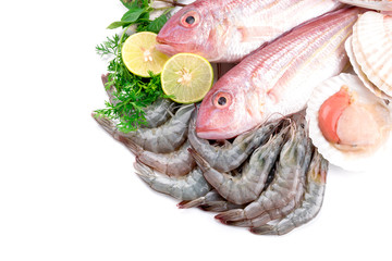 Fresh seafood