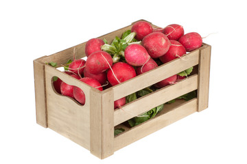 fresh radishes in a wooden crate, isolated on white