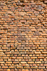 Fototapeta premium Backsteinwand