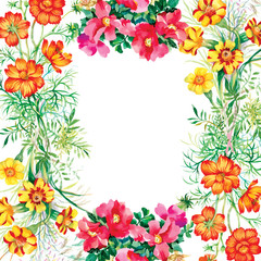 Wild flowers pattern on white background