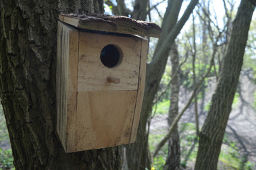 Wooden bird nesting-box on a tree stem