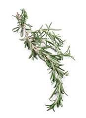 Twig of rosemary.