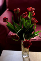 beauty, fresh, flowers, green, glass, tulips, red, 