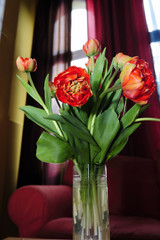 beauty, fresh, flowers, green, glass, tulips, red,
