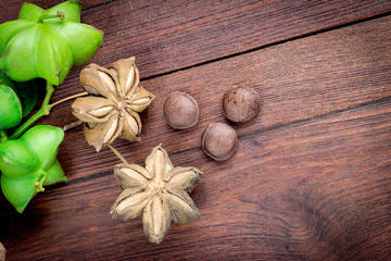 dried capsule seeds fruit of sacha-Inchi peanut