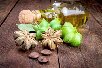 Fototapeta premium dried capsule seeds fruit of sacha-Inchi peanut