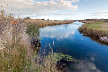 Camargue, Südfrankreich