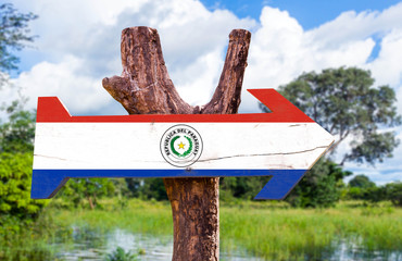 Paraguay Flag wooden sign with countryside background