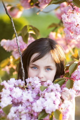 Fototapeta premium Little girl amid cherry bloom